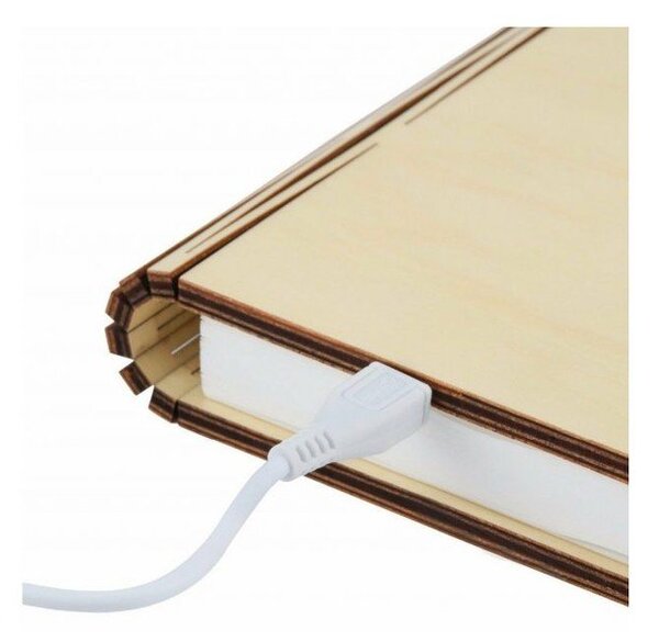 Rjava svetlobna dekoracija na USB Booklight – Gingko