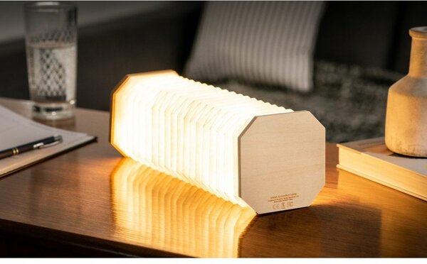 Svetlobna dekoracija na USB v naravni barvi Accordion – Gingko