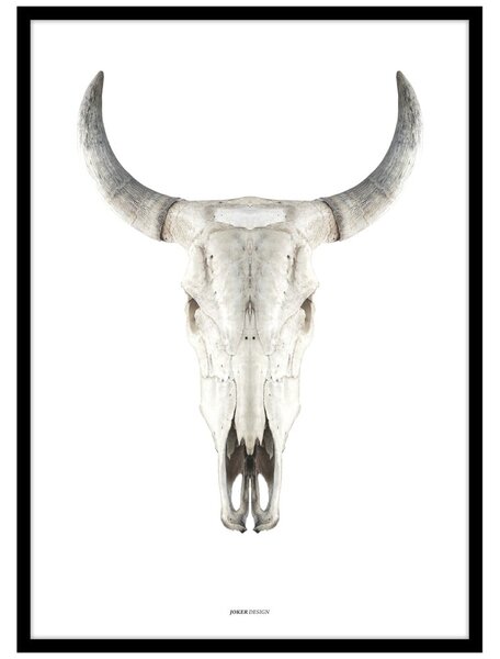 Plakat z okvirjem 50x70 cm Cow Skull – Malerifabrikken