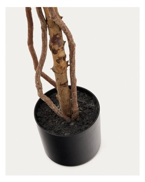 Umetni fikus (višina 180 cm) Ficus – Kave Home