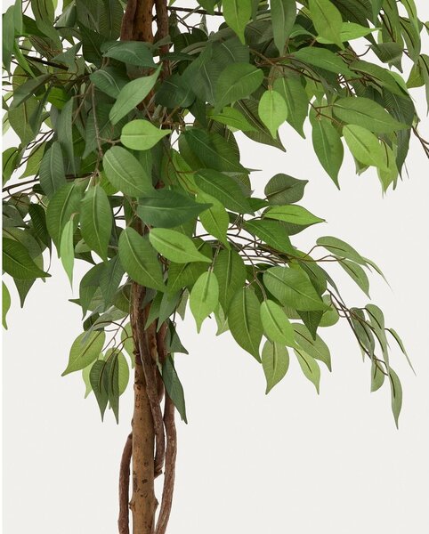 Umetni fikus (višina 180 cm) Ficus – Kave Home