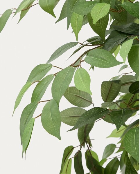 Umetni fikus (višina 180 cm) Ficus – Kave Home