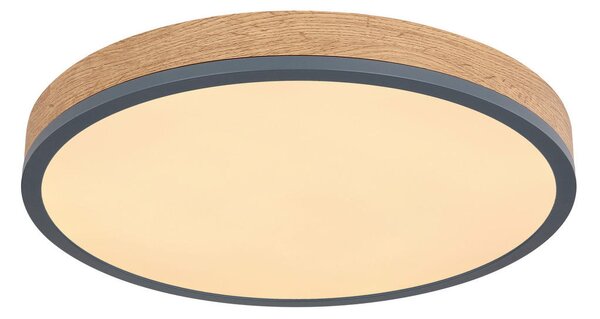 STROPNA LED-SVETILKA 2700-6500 K 230 V