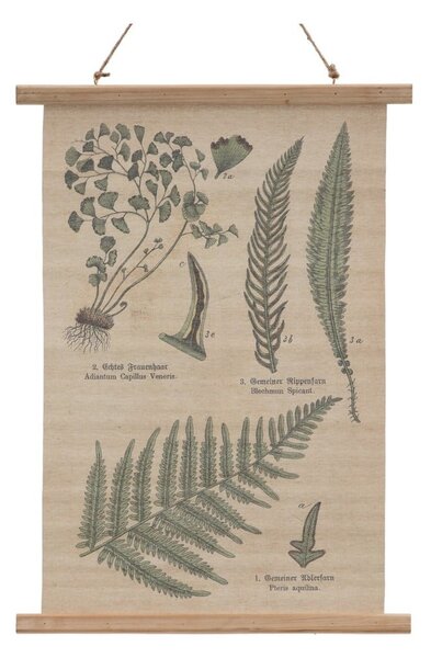 Tapiserija 50x70 cm Fern – Ixia