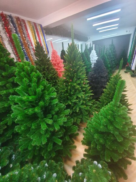 JAKS Božično drevo zelena jelka 260 cm