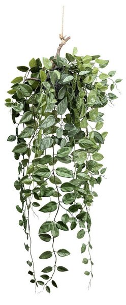 Modern Living Umetna Rastlina Epipremnum I