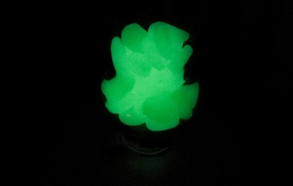 Fluorescentni svetleči kamni 100kos do 3cm