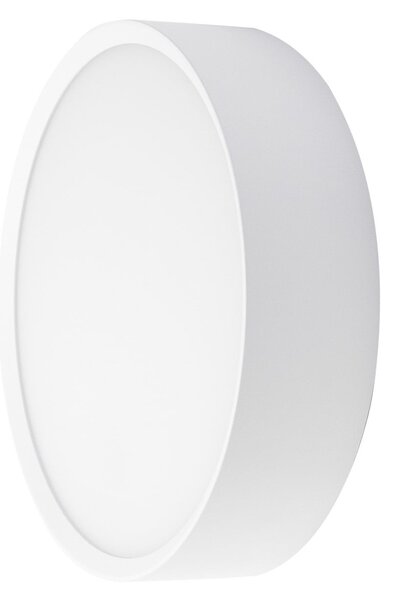 BRUMBERG LED-stenna svetilka za zunanjo uporabo EYE, odprta, bela, CCT, IP65, Bela, Hodnik, Aluminij, Sodobni