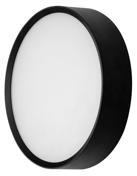 BRUMBERG LED-stenna svetilka za zunanjo uporabo EYE, odprta, črna, CCT, IP65, Črna, Hodnik, Aluminij, Sodobni