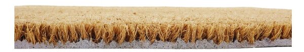 Predpražnik iz kokosovih vlaken 40x60 cm Curly – Artsy Doormats