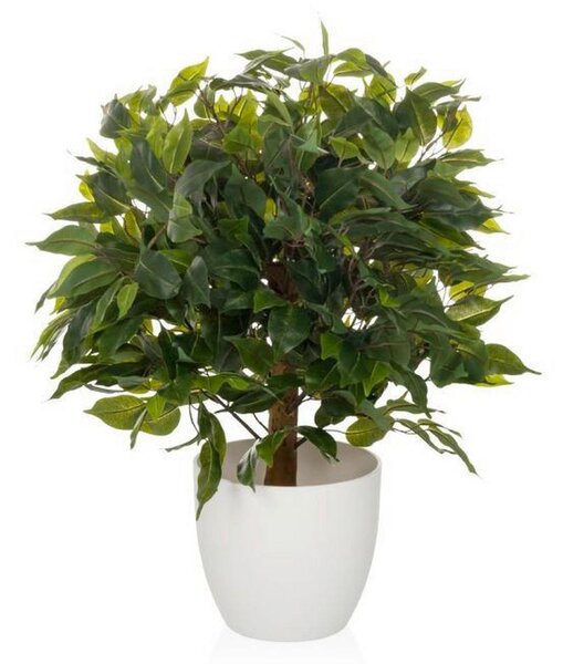 MID.YOU Umetna Rastlina Ficus I