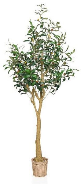 MID.YOU Umetna Rastlina Olive Ii