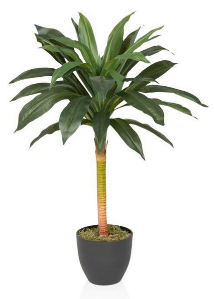 MID.YOU Umetna Rastlina Dracaena I