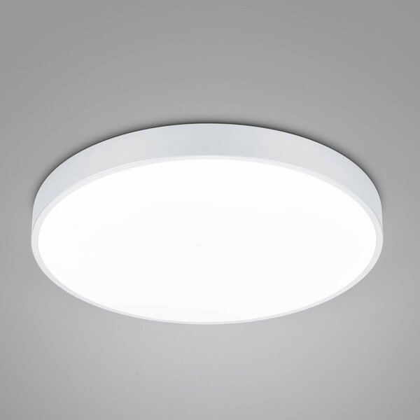 LED stropna svetilka Waco, CCT, Ø 49,5 cm, bela mat