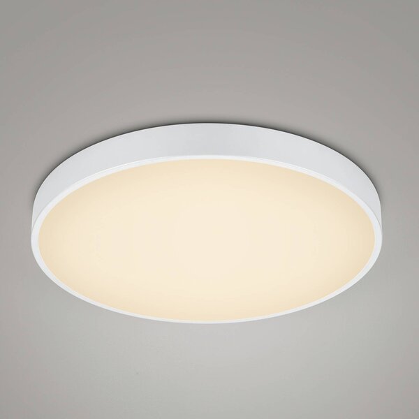 LED stropna svetilka Waco, CCT, Ø 49,5 cm, bela mat