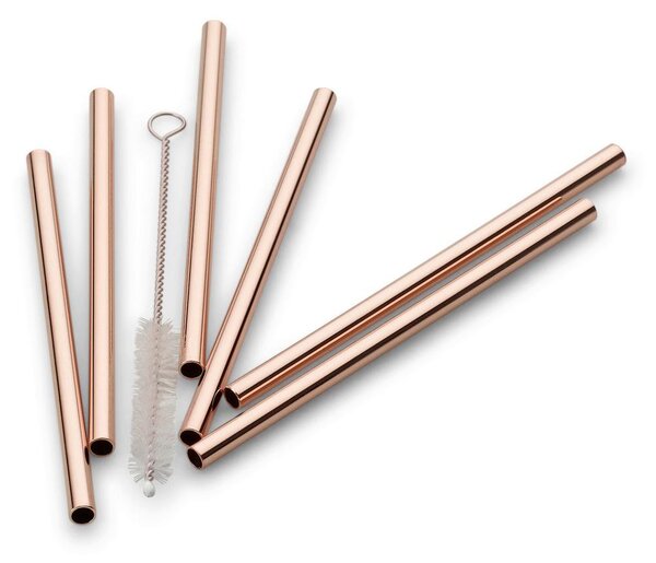 Echtwerk Set Slamic S Krtačko Straw, 6-Delni