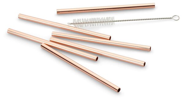 Echtwerk Set Slamic S Krtačko Straw, 6-Delni