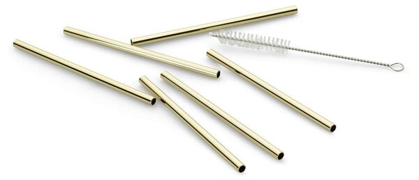 Echtwerk Set Slamic S Krtačko Straw, 6-Delni
