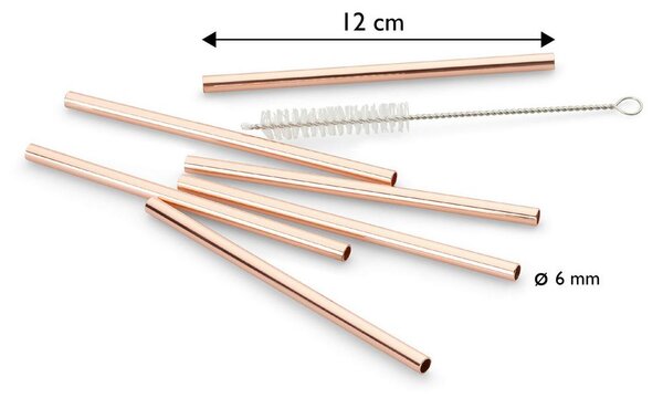 Echtwerk Set Slamic S Krtačko Straw, 6-Delni