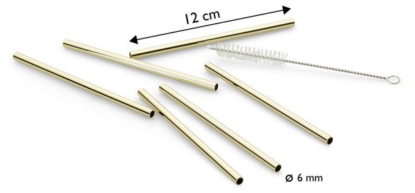 Echtwerk Set Slamic S Krtačko Straw, 6-Delni