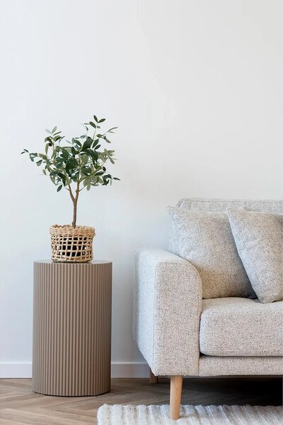 House Nordic Mizica House Nordic Farense