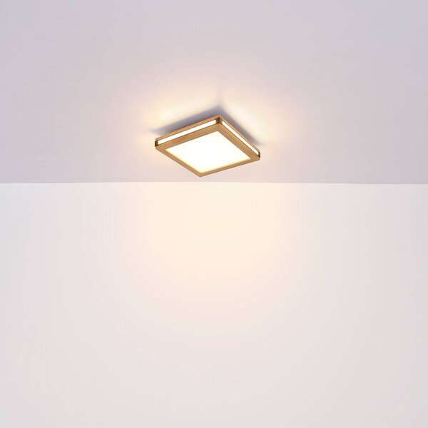 LED stropna svetilka Karla square 30x30 cm