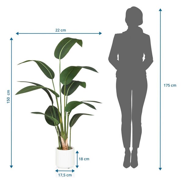 MID.YOU Umetna Rastlina Strelitzia