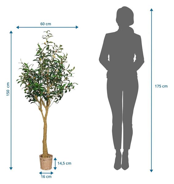 MID.YOU Umetna Rastlina Olive Ii