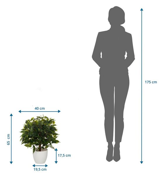 MID.YOU Umetna Rastlina Ficus I