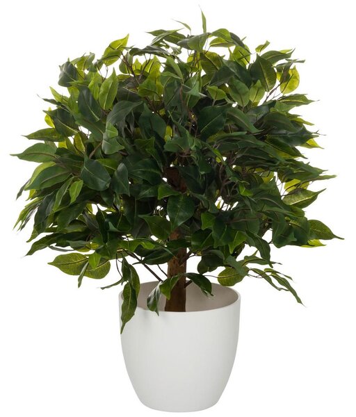 MID.YOU Umetna Rastlina Ficus I