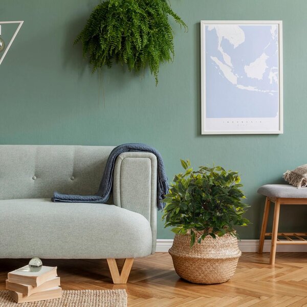 MID.YOU Umetna Rastlina Ficus I
