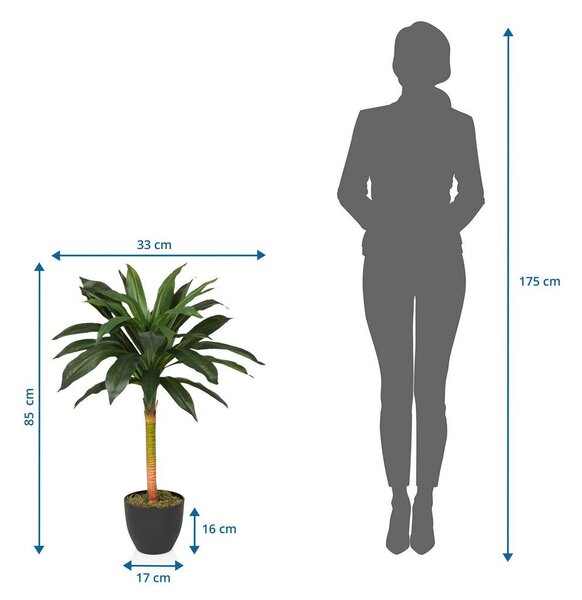 MID.YOU Umetna Rastlina Dracaena I