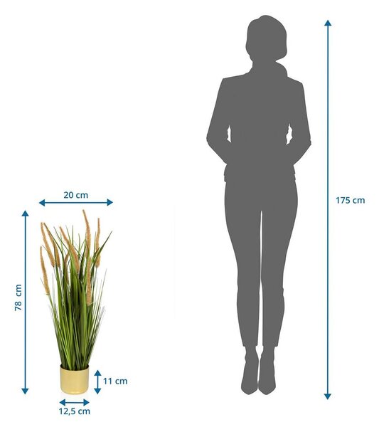 MID.YOU Umetna Rastlina Cortaderia I