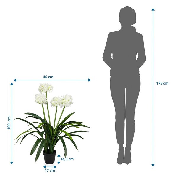 MID.YOU Umetna Rastlina Agapanthus