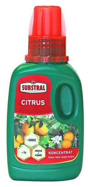 Substral Hranilo za citruse (250 ml)