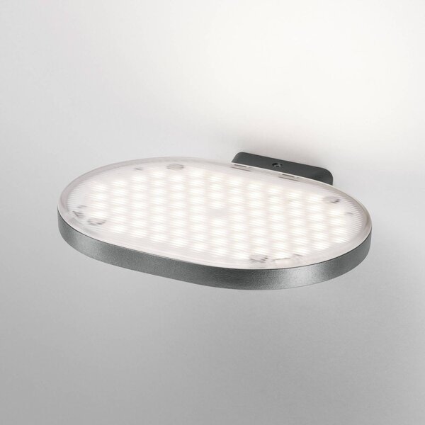 FLOS Oplight W1 LED stenska svetilka, kovinsko siva