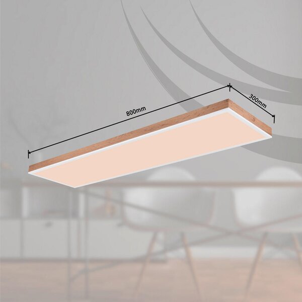 STROPNA LED-SVETILKA 2700-6500 K 230 V