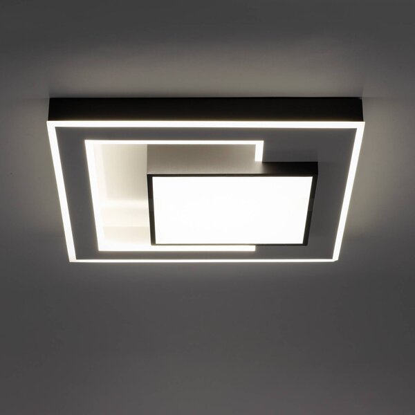 Paul Neuhaus Q-Alta LED stropna svetilka, 55x55cm