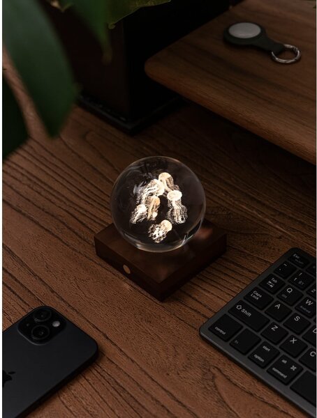 Temno rjava svetlobna dekoracija na USB Amber – Gingko