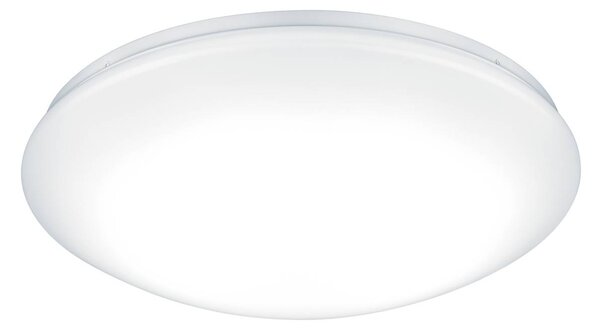 THORNeco Lena Vario LED stenska svetilka 15W 35 cm