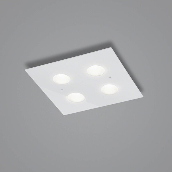 Helestra Nomi LED stropna svetilka 38x38cm dim bela