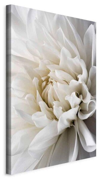 Artgeist Slika Na Platnu White Dahlia
