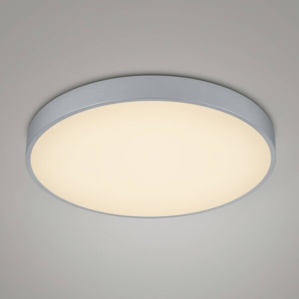 LED stropna svetilka Waco, CCT, Ø 49,5 cm, titan