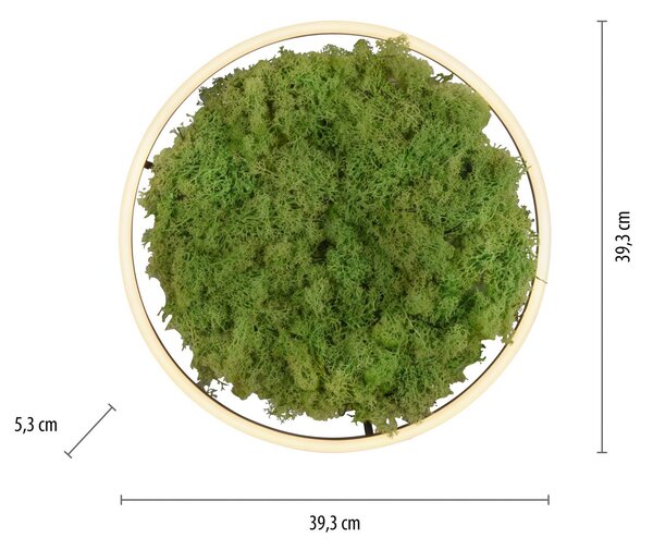 LED stropna svetilka Green Ritus, mah z možnostjo zatemnitve Ø39,3cm