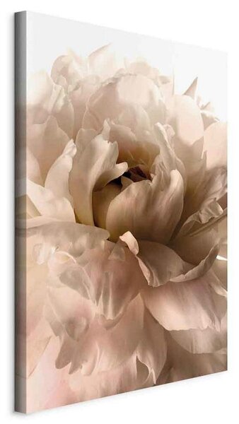Artgeist Slika Na Platnu Soft Petals
