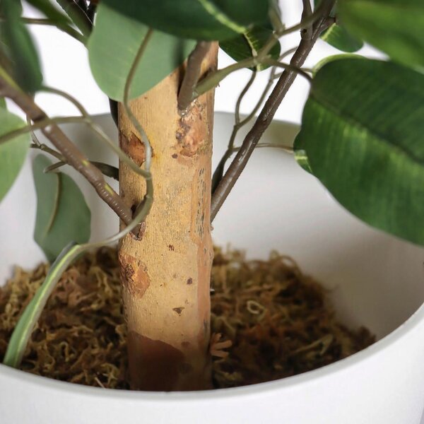 MID.YOU Umetna Rastlina Ficus I