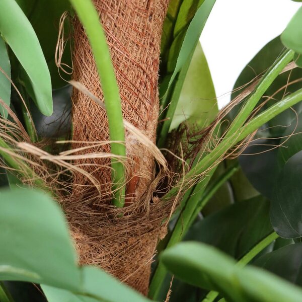 MID.YOU Umetna Rastlina Epipremnum