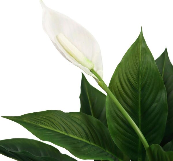 MID.YOU Umetna Rastlina Spathiphyllum