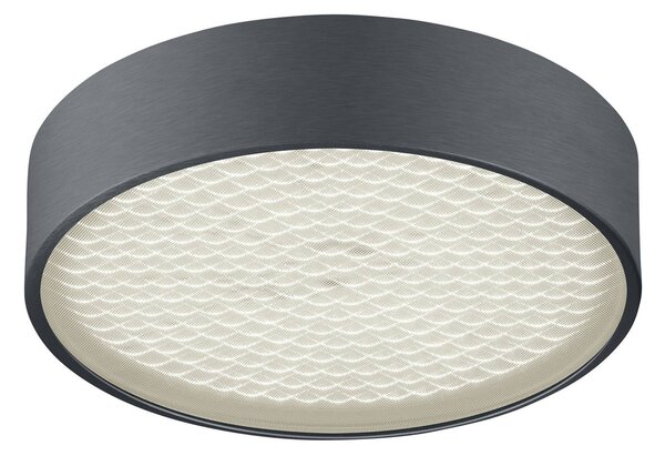 BANKAMP Drum LED stropna svetilka, antracit mat