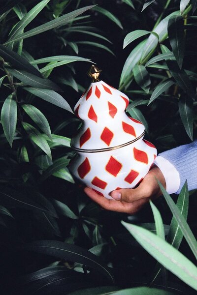 Alessi Posoda s pokrovom Alessi Delight